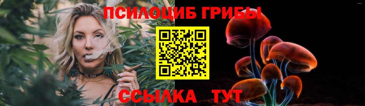 Светлоград  Галлюциногенные грибы прущие грибы  Вход с VPN  Галлюциногенные грибы MAGIC MUSHROOMS 