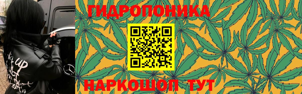 Шишки марихуана конопля  Канабис Ganja  Марихуана OG Kush  Светлоград  Вход с VPN 